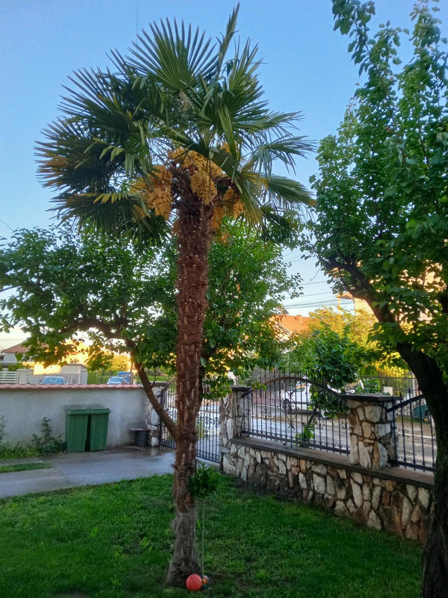 Apartman Zafirovi Gevgelija Extérieur photo